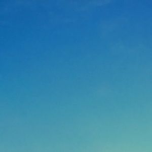 Meet your Posher, Drew